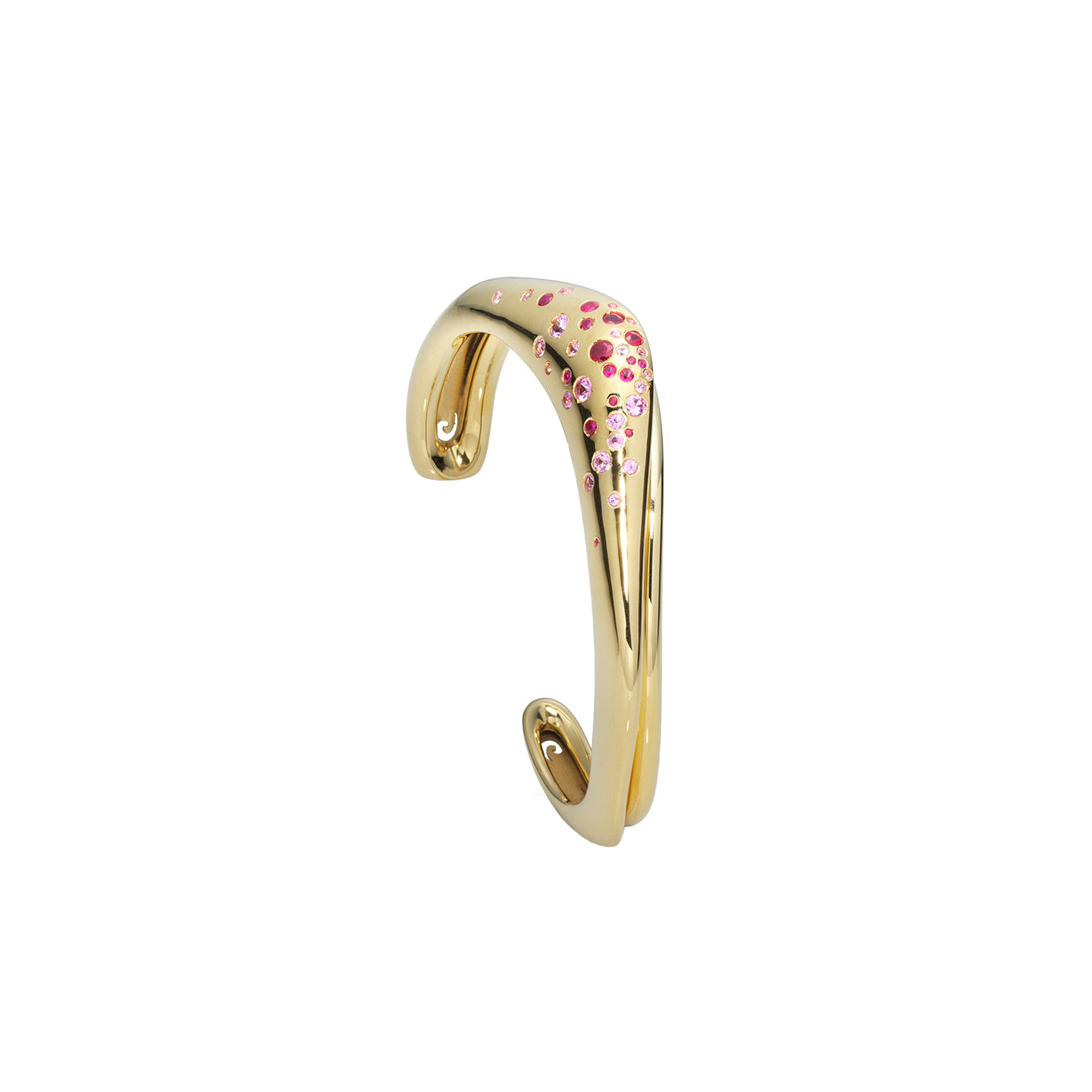 The Untamed Arm Cuff