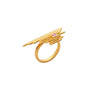 The Tide Ring